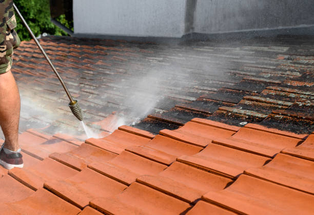 Best Affordable Pressure Washing  in Weldon Spring, MO